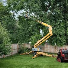 Best Tree and Shrub Care  in Honaker, VA